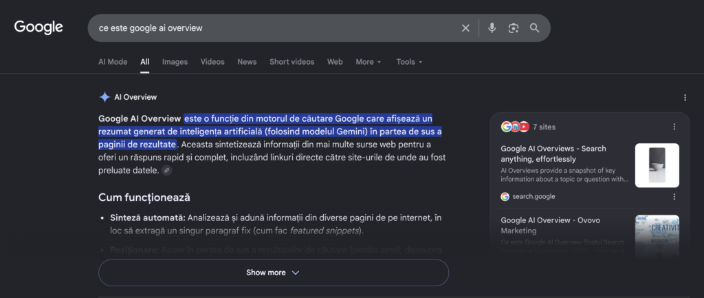 Interfata Google Ai Overview